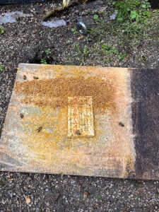 底板に積もる巣のカスののようなものは正常な現象でしょうか