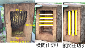 角洞の継箱をする際に、空の角洞で間仕切りしたいのですが、仕切り板は横か縦か、どちらが成功しそうですか？