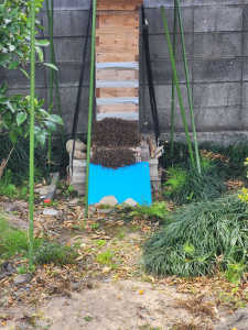 4日間毎日こんな感じですが分蜂するのでしょうか❓