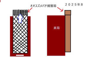 オオスズメバチ捕獲器（巣箱から大きく隔てた所に設置）　想定される欠点を教えてください。