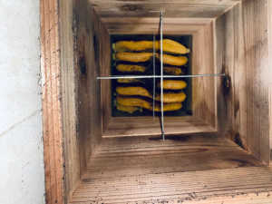 久しぶりに下を開けて写真を撮ってみましたが、こんな状態です。下にたくさんのミツバチが死んでいました。今朝はマイナス1度でした。