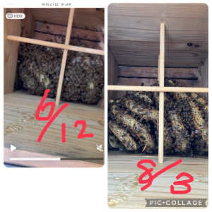 ほぼ諦めていますが、ご意見を宜しくお願い致します。無王判定をお願いします。出来れば理由と原因をお願いします。