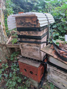 ミツバチが最下段まで来ています。継ぎ箱すべきでしょうか？