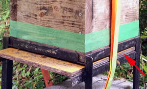 四面巣門の蜂箱の場合、門番は何処に常駐しているのでしょう？