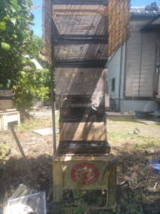 スズメバチ侵入で逃亡した群れを捕獲して元の巣箱に移し、元の場所に置いたら居つくものでしょうか?