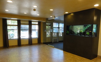 lacon il nursing home