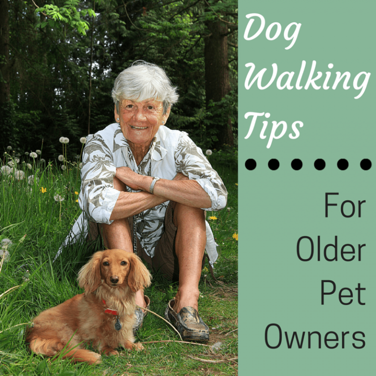 Dog Walking Tips Blog