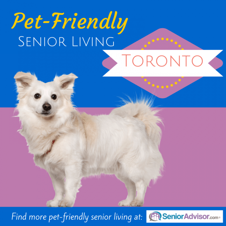 PetFriendly Retirement Homes in Toronto