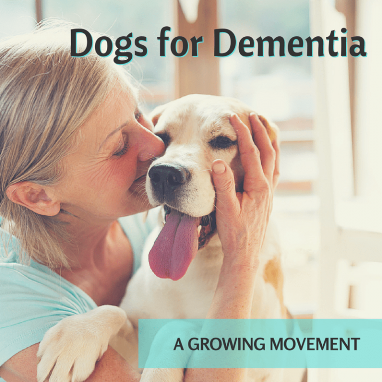 Dogs for Dementia Patients Blog