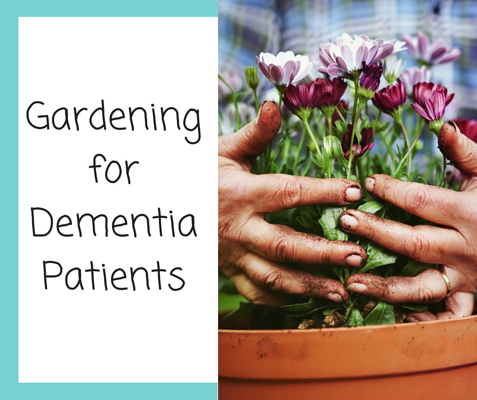Gardening For Dementia Patients SeniorAdvisor Blog