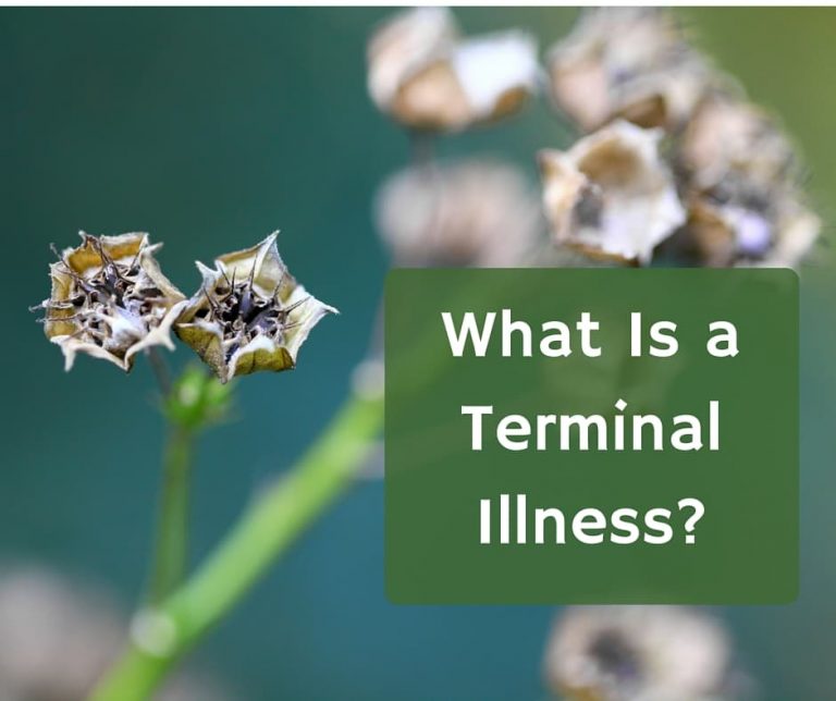 What Is A Terminal Illness SeniorAdvisor Blog