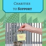 6 Veteran Charities to Support; VeteranAid.org
