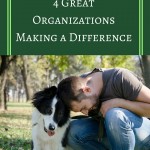 Dogs and Veterans: 4 Great Organizations Making a Difference; VeteranAid.org