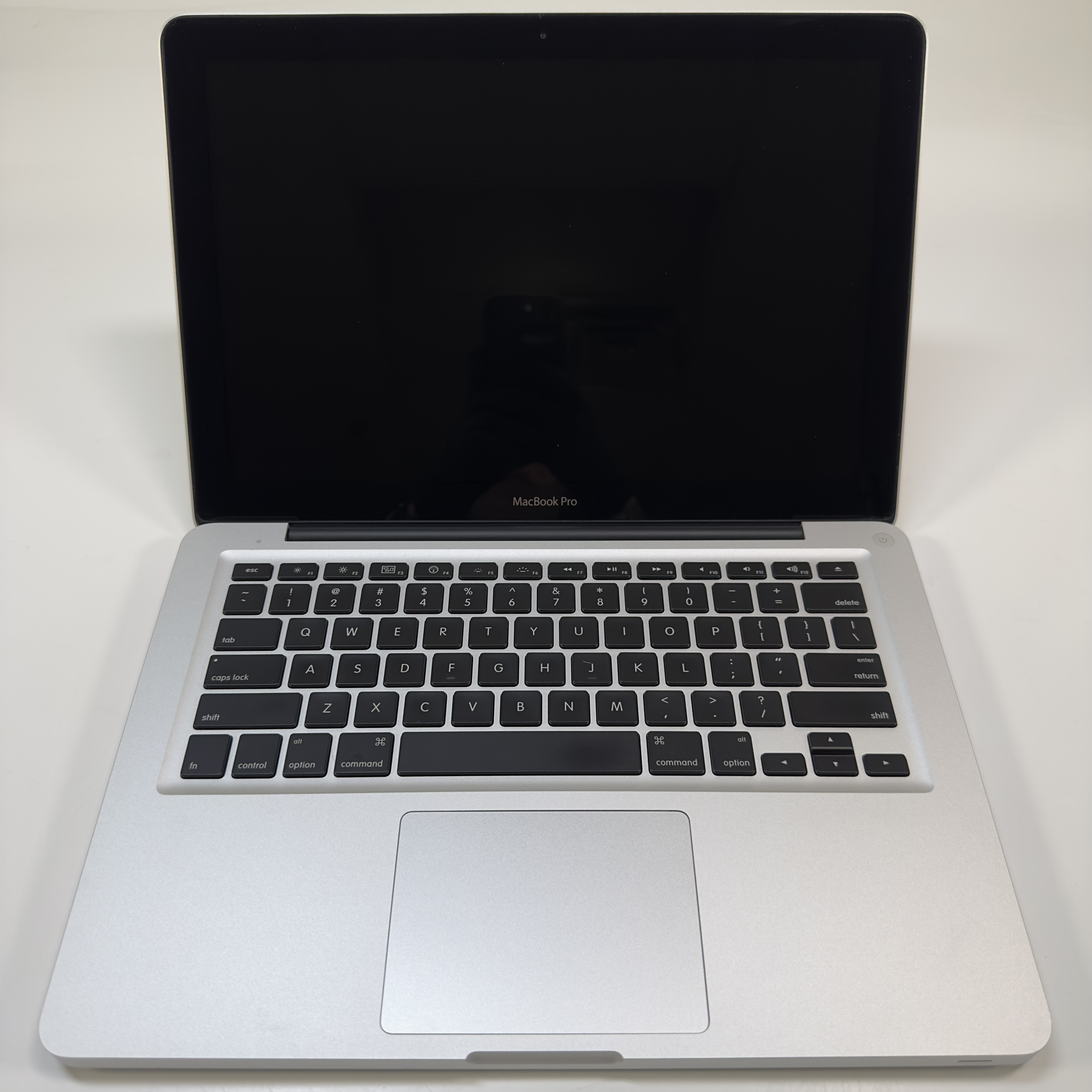 Apple 2010 13
