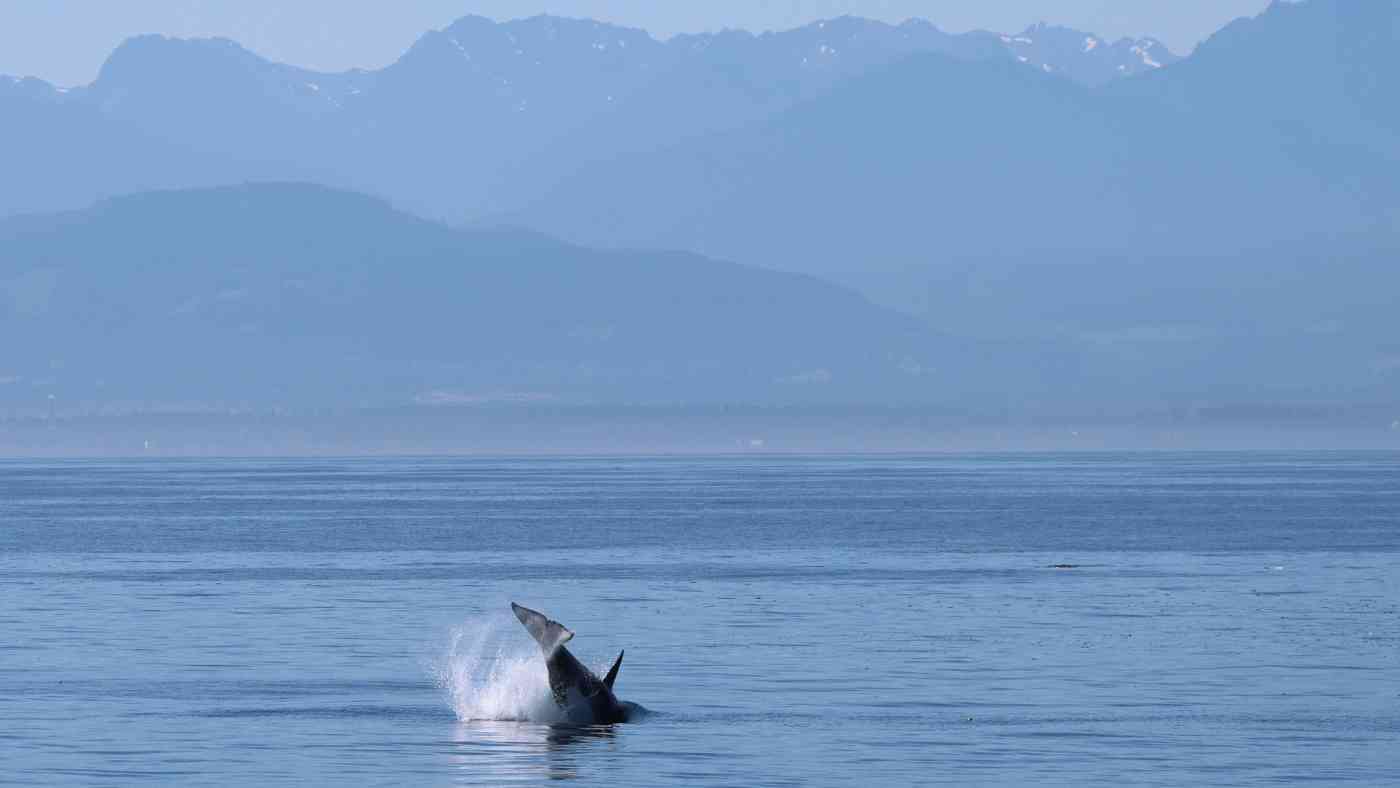 Extended Range Banner