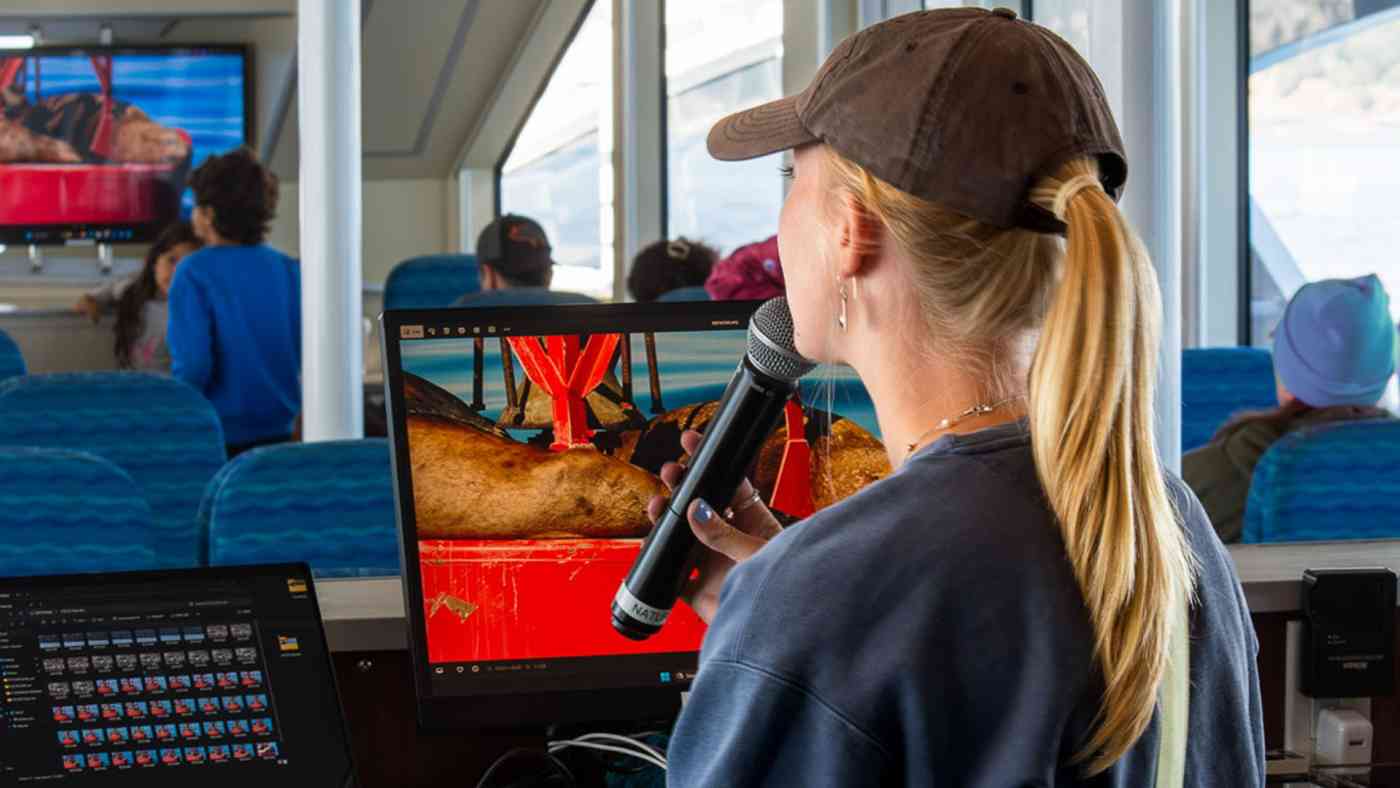 FAQ Banner FAQ Banner