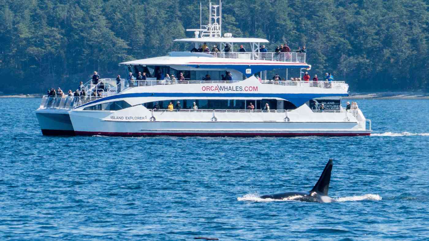 IE5 Banner IE5 Banner