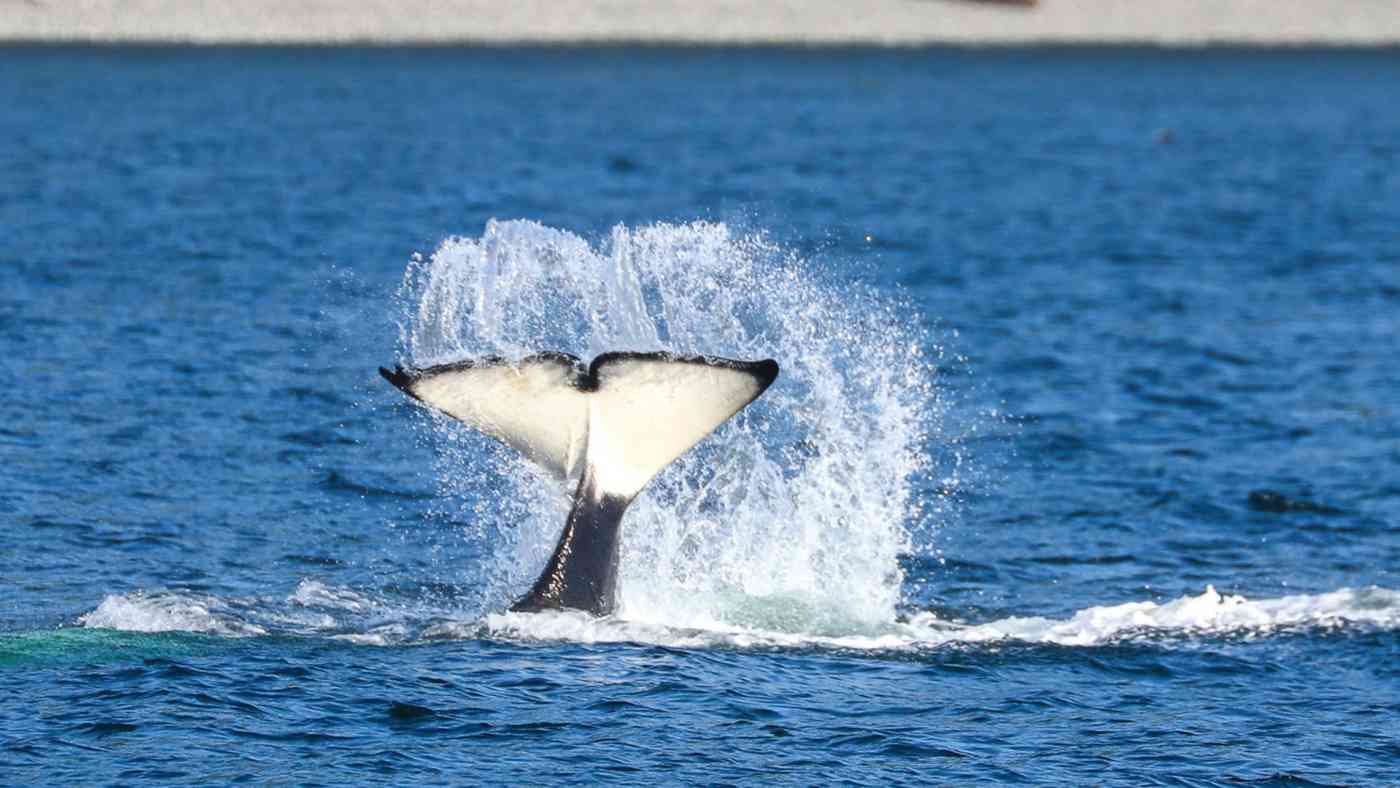 Photo Gallery Banner Photo Gallery Banner