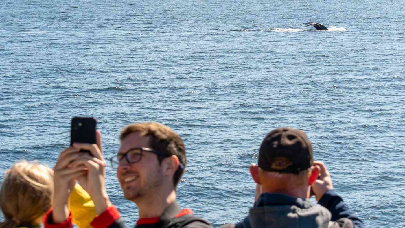 Private Charters Banner