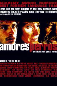AMORES PERROS - 25 AÑOS