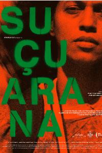 SUÇUARANA