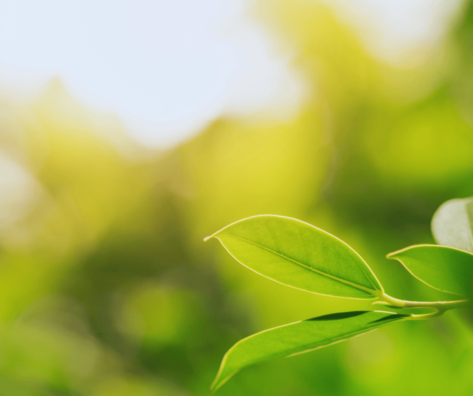 How to Prepare Your HVAC System for a Utah Summer Heatwave Just Right Plumbing, Heating, & Cooling How to Prepare Your HVAC System for a Utah Summer Heatwave