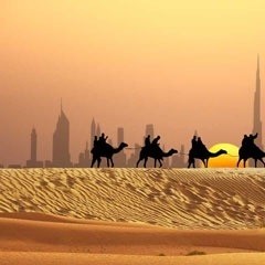 アラブ首長国ドバイ続編・砂漠ツアー★ストレス解消！視察・トラベルナース！