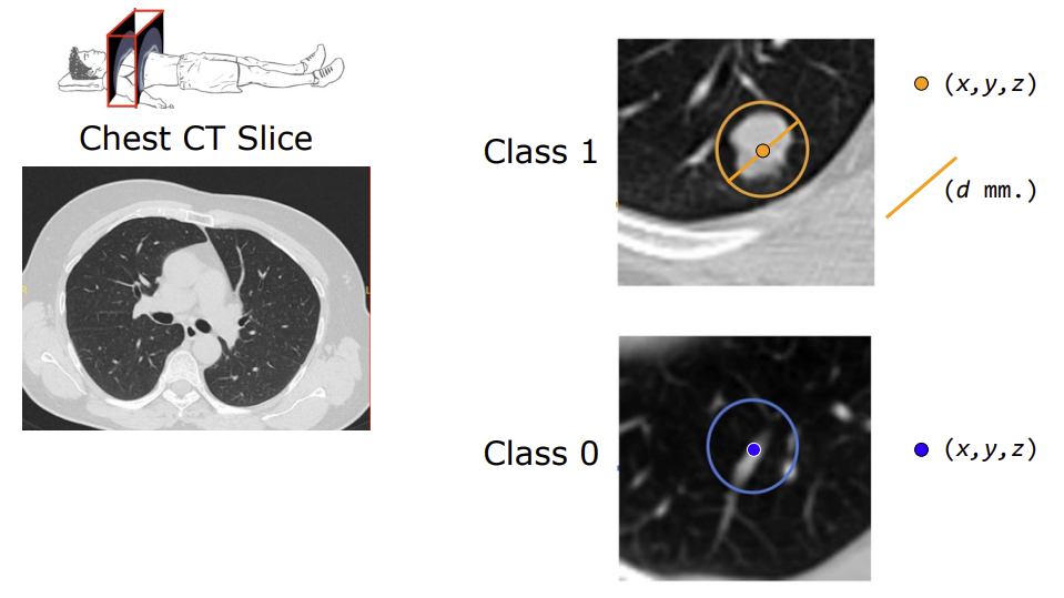 Classification results