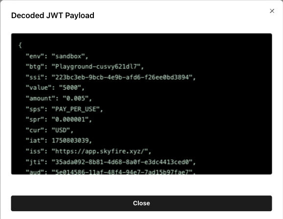 Decoded Token