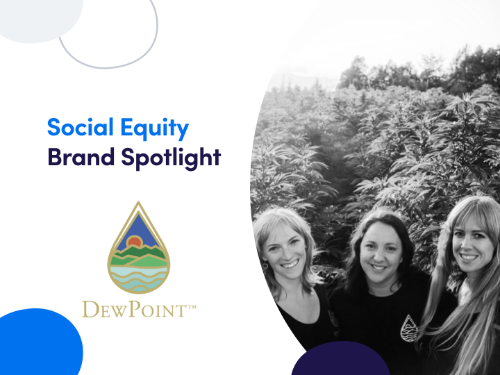 Social Equity Brand Spotlight Primary Dewpoint