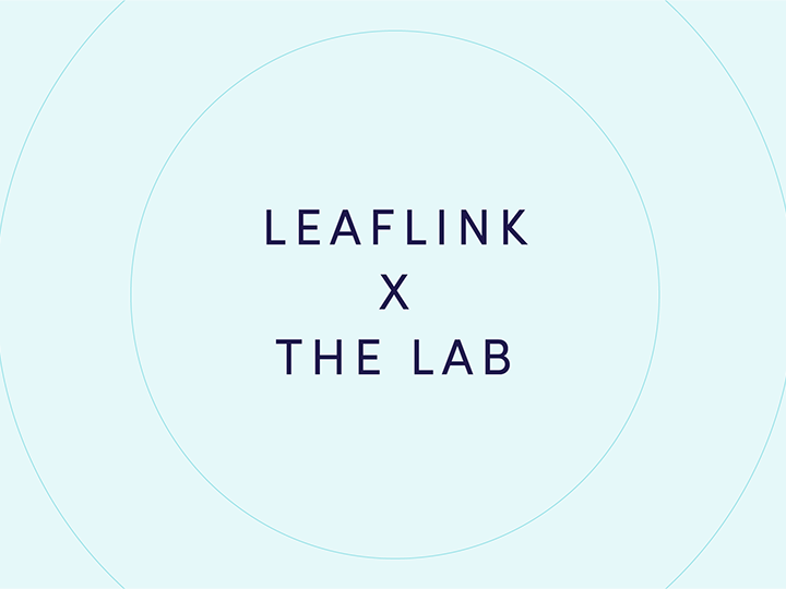 The Lab Cannabis brand