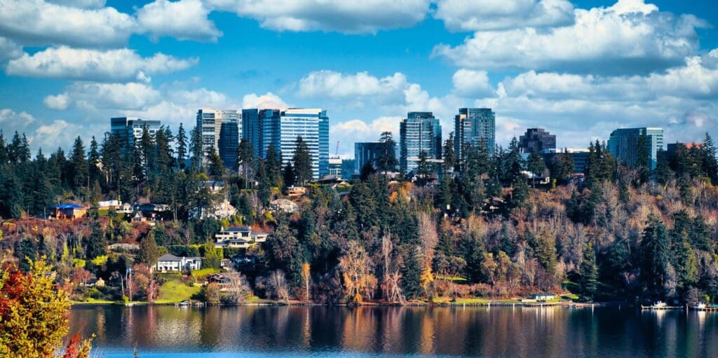 electronics recycling in bellevue