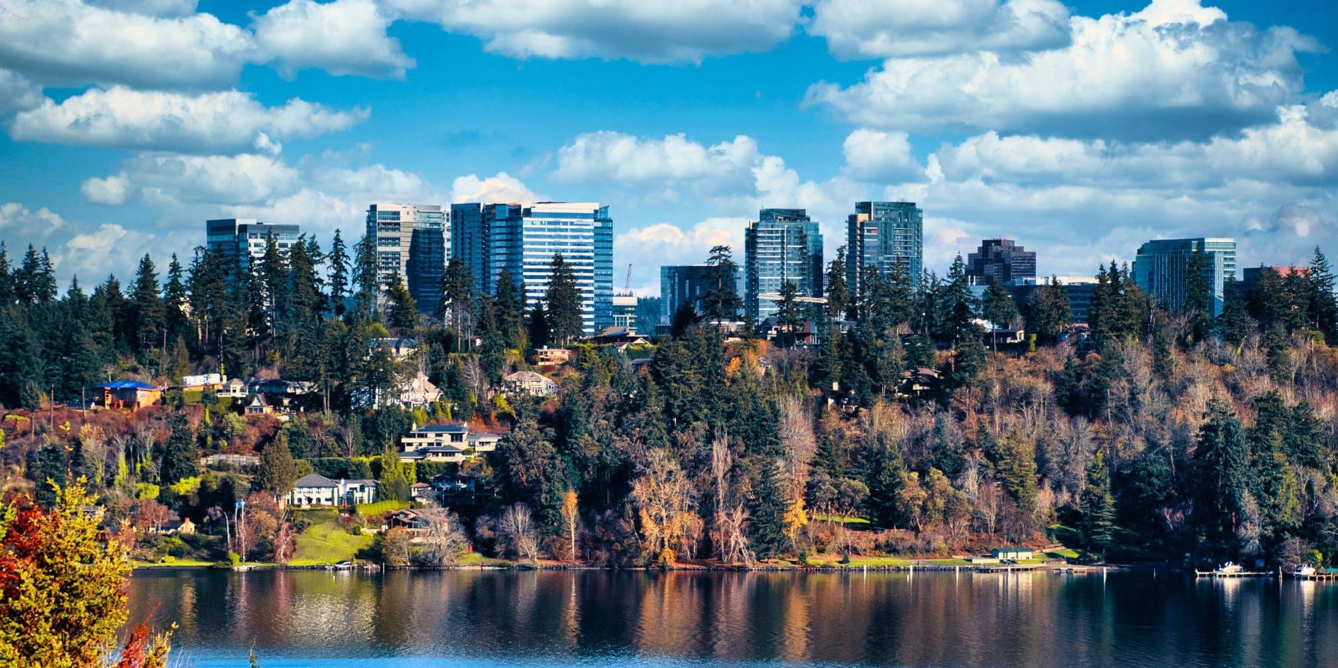 electronics recycling in bellevue