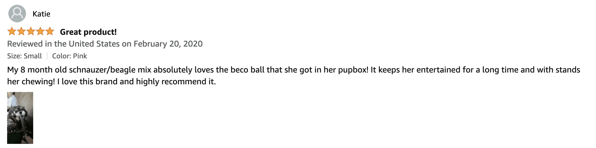 Beco Ball Review