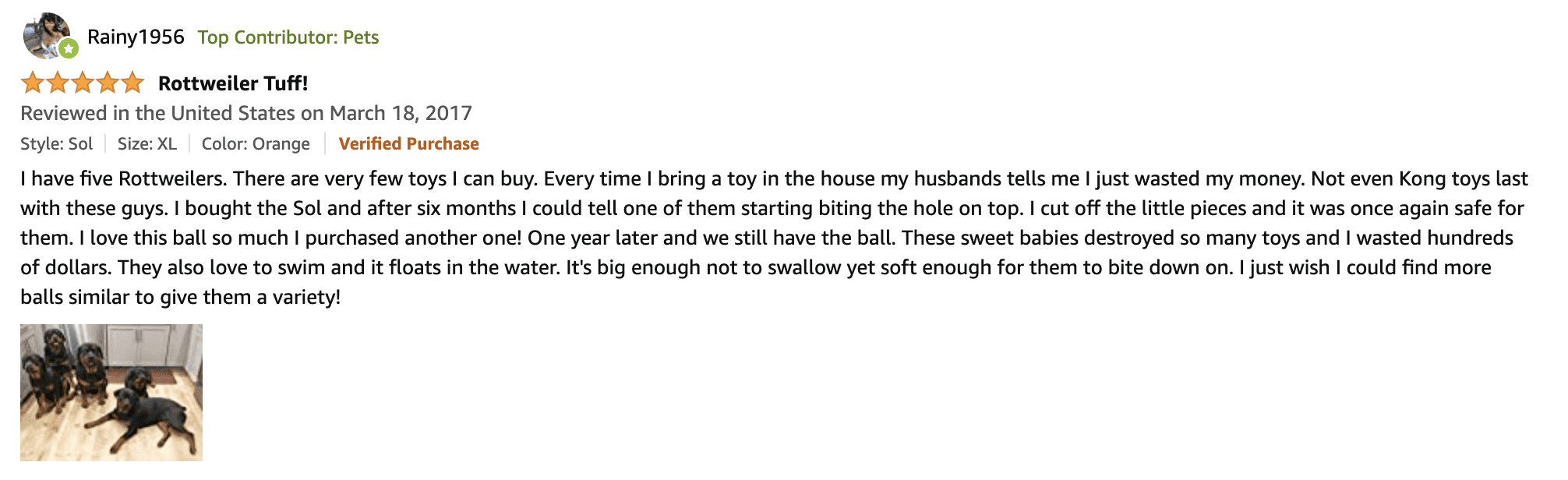 Planet Dog Orbee-Tuff Review 1