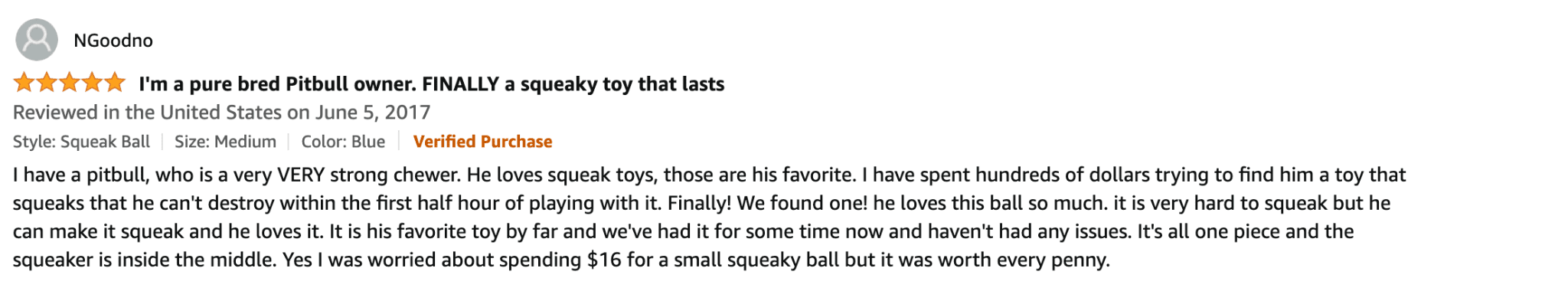 Planet Dog Orbee Tuff Review 2