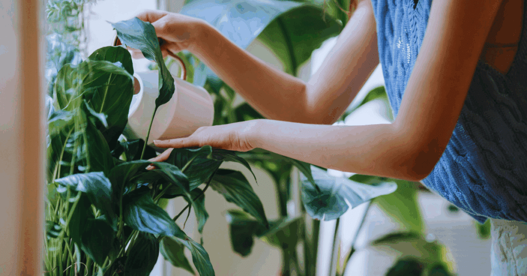 Homeowners with sustainable practices.