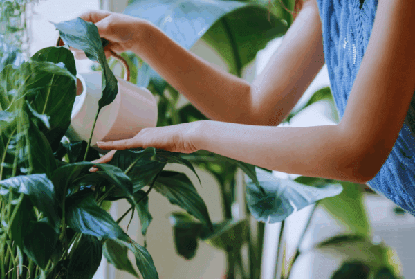 Homeowners with sustainable practices.