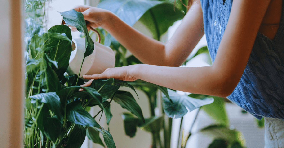 Homeowners with sustainable practices.