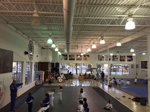 American top team view martial arts 2 madstudios