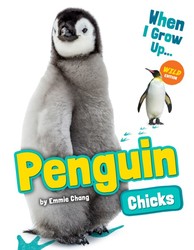 Penguin Chicks
