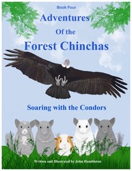 Adventures Of The Forest Chinchas: Soaring With The Condors