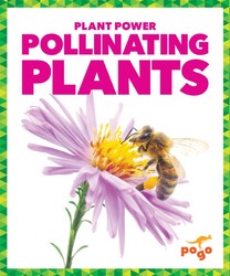 Pollinating Plants