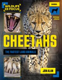 Cheetahs: The Fastest Land Animals