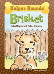 Brisket Helps Miryam with Online Learning 