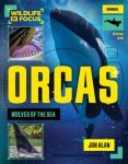 Orcas: Wolves of the Sea