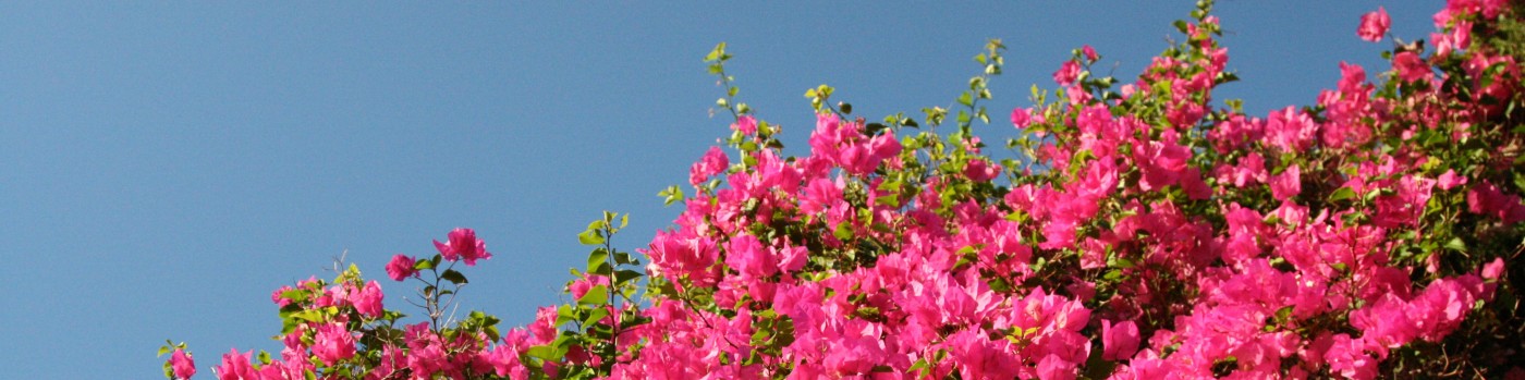 Profile background