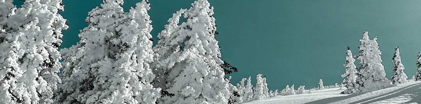 Profile background