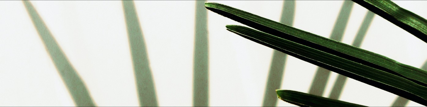 Profile background
