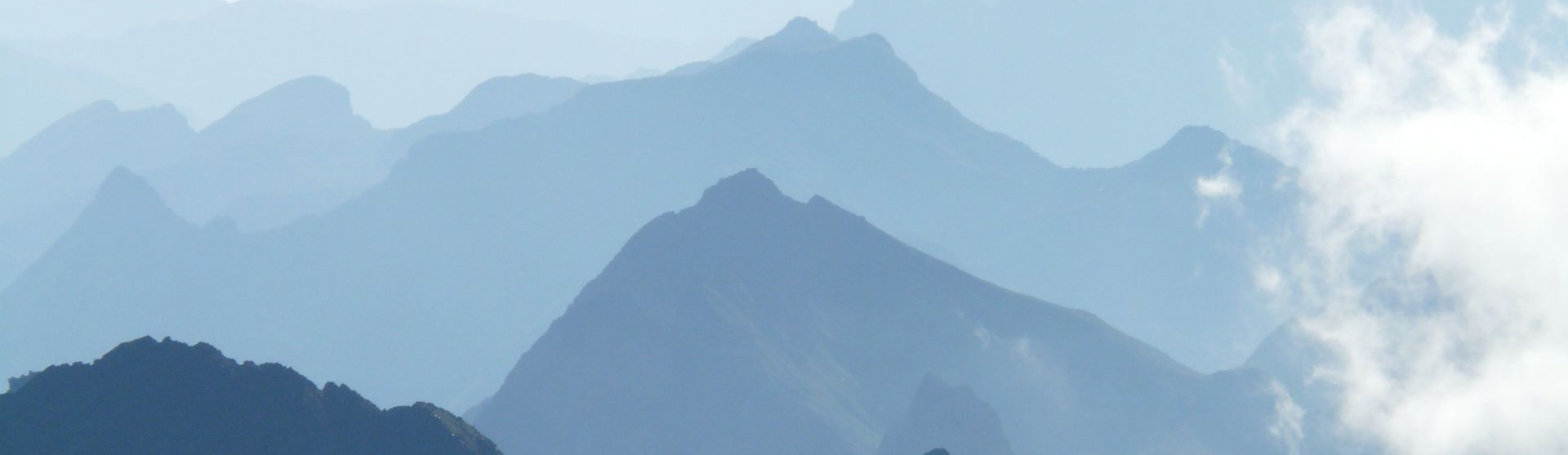 Profile background